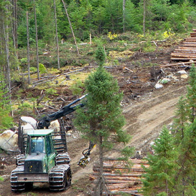 Consulting Responsible Forestry Solutions